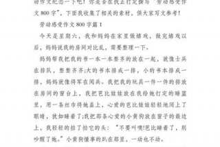 关于生活的感悟作文800字 - 关于生活的感悟300字