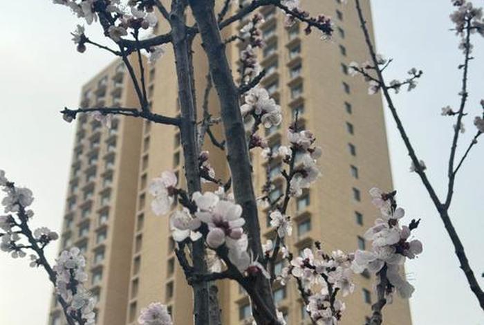 生活一瞥 - 生活一瞥的意思 生活一瞥 - 生活一瞥的意思