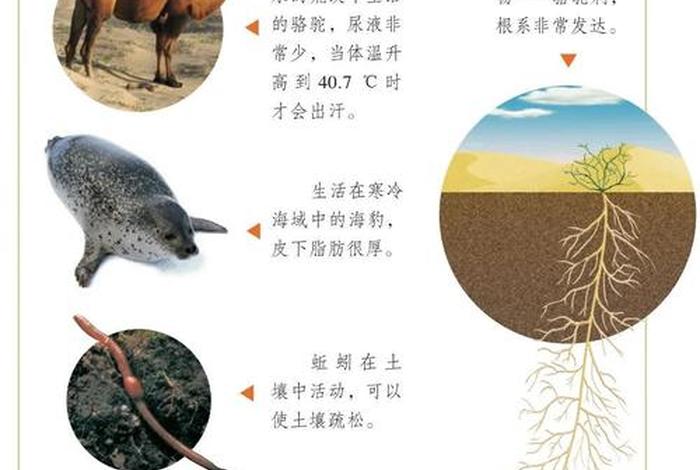 生物与生活的关系，生物与日常生活的联系