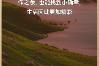 会生活的人一定是精彩的 - 会生活的人才会工作是谁说的