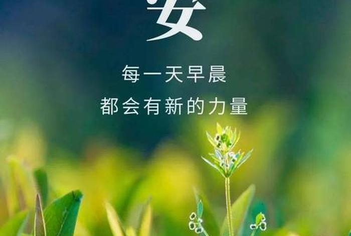 生活正能量的图片;生活正能量图片大全集 生活正能量的图片;生活正能量图片大全集