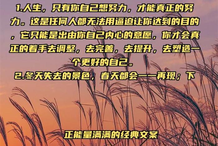 生活教会了我所有句子 生活教会了我文案 生活教会了我所有句子 生活教会了我文案