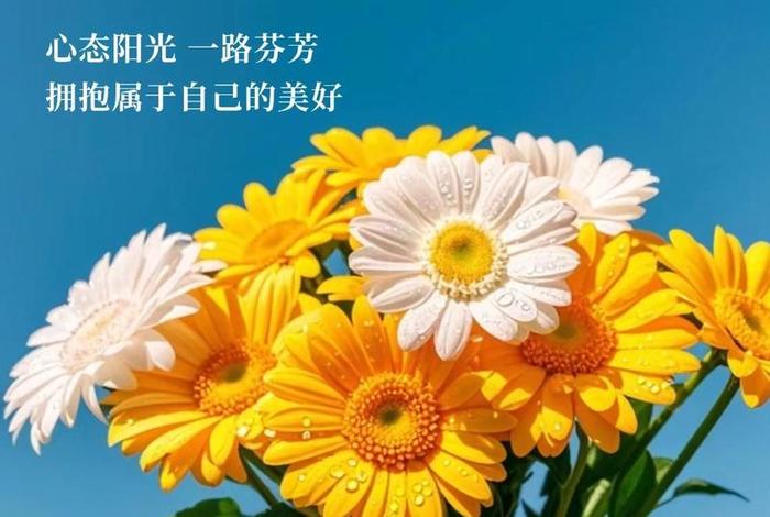 早安生活问候语(早安生活的说说心情短语) 早安生活问候语(早安生活的说说心情短语)