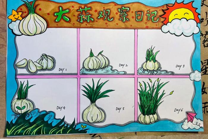 生活观察记录图片(生活观察记录图片卡通) 生活观察记录图片(生活观察记录图片卡通)