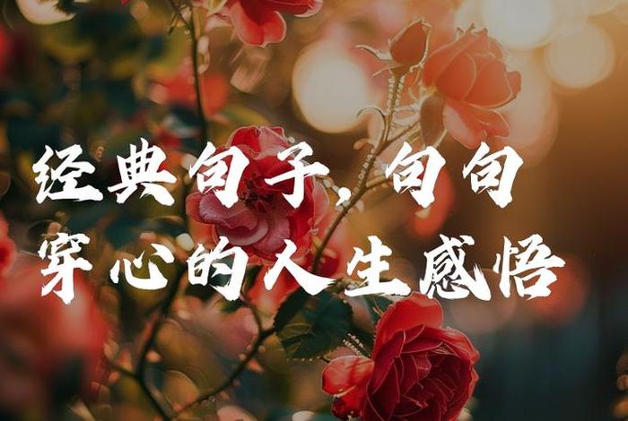 生活美好感悟经典句子（感慨生活感悟经典句子）