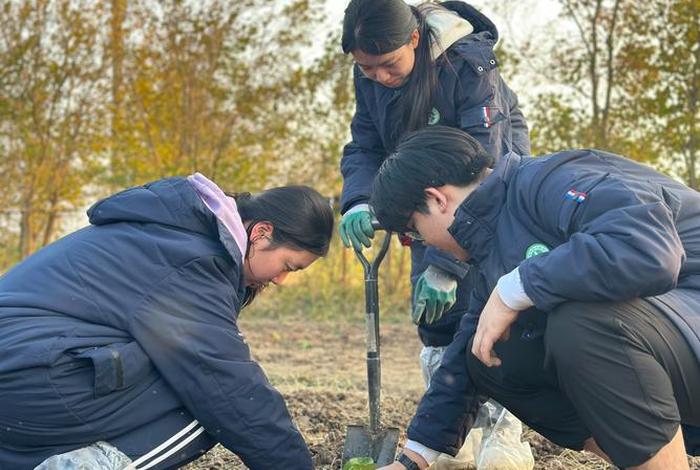 生活实践活动图片；生活实践活动图片高清