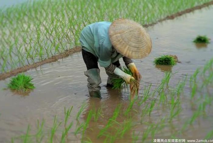常人生活的视频 - 生活的视频素材 常人生活的视频 - 生活的视频素材