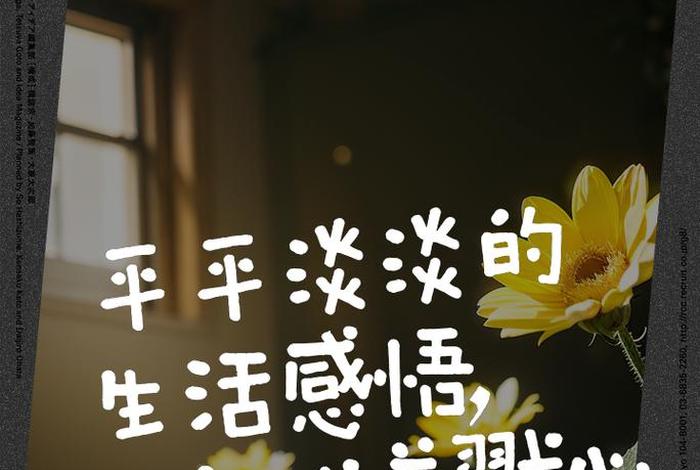 生活很平淡的经典句子；生活平淡的说说心情