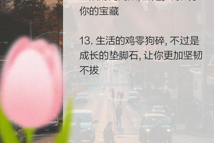 生活鸡零狗碎下一句经典语录 生活的鸡零狗碎让人没了光芒 但我始终相信我会更好 生活鸡零狗碎下一句经典语录 生活的鸡零狗碎让人没了光芒 但我始终相信我会更好