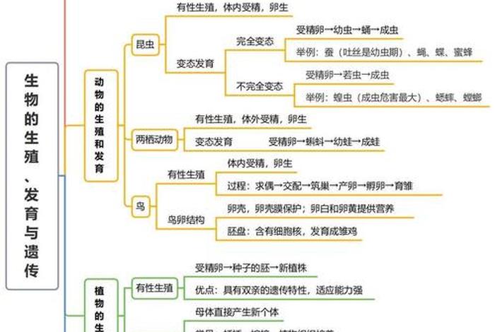生物与生活的关系，生物与生活的关系思维导图