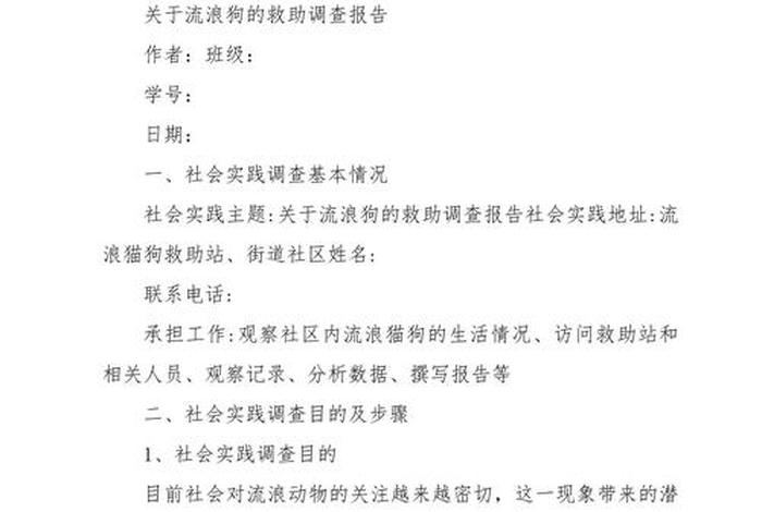 流浪猫的生活环境、流浪猫的生活环境怎么写生物调查