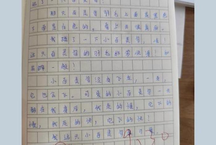 1~3年级日记 1~3年级日记简单 1~3年级日记 1~3年级日记简单