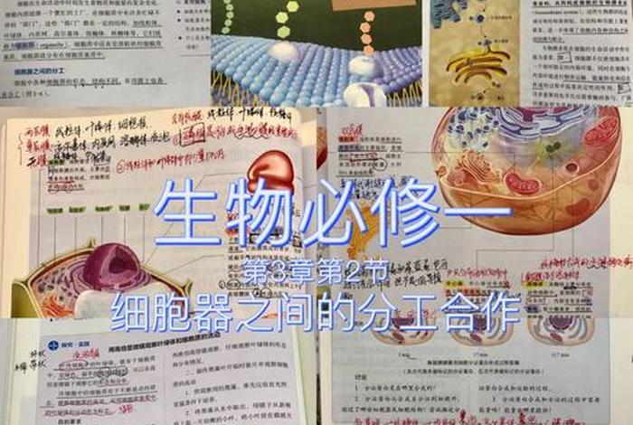 生物与生活的联系（举例说明生物与生活的联系）