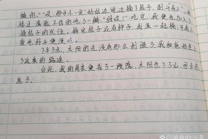 我的周末生活日记、我的周末生活写话