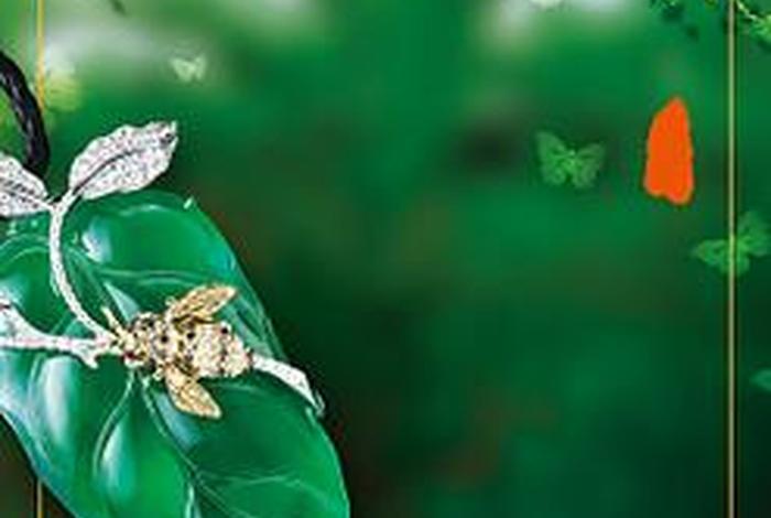 觅生活翡翠 - 觅生是什么意思 觅生活翡翠 - 觅生是什么意思