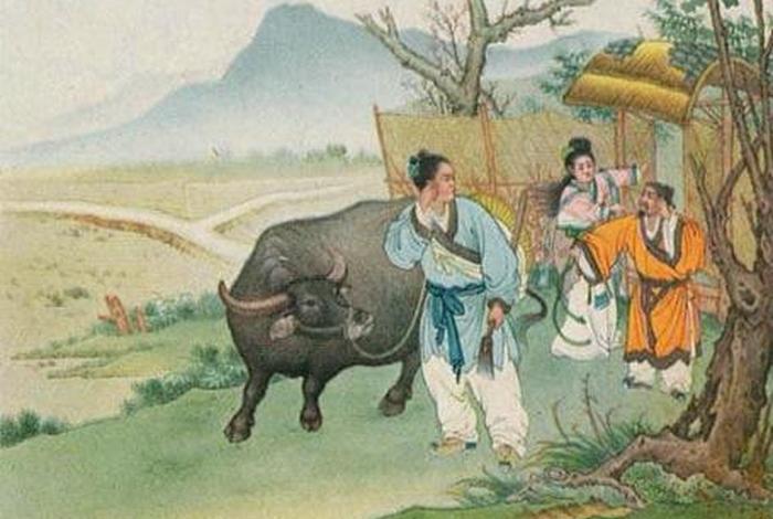 牛郎生活苦的图片；牛郎辛苦的身世