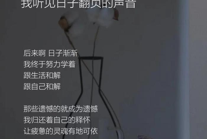 生活还需要刚性之外的柔软地带；生活需要任性