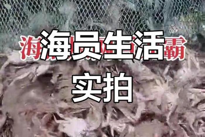 海员的生活记录 - 海员的生活记录怎么写 海员的生活记录 - 海员的生活记录怎么写