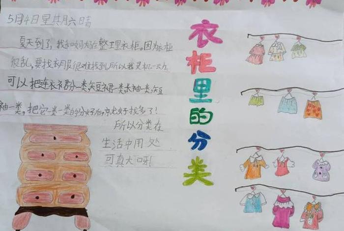 生活中的分类有哪些一年级 - 生活中的分类现象