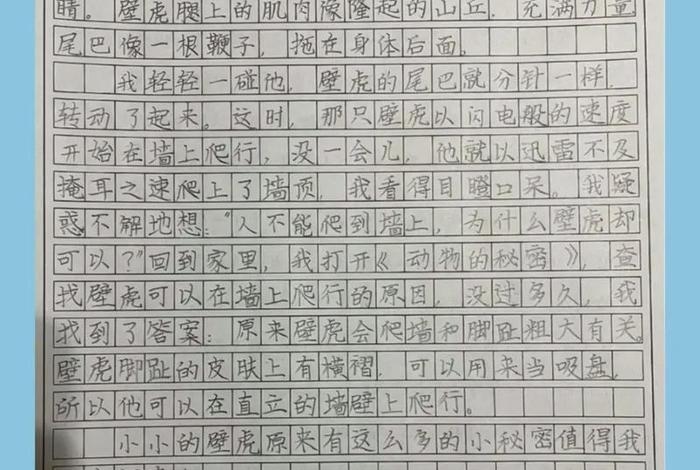 生活中的发现作文300字三年级(生活中的发现作文300字左右) 生活中的发现作文300字三年级(生活中的发现作文300字左右)