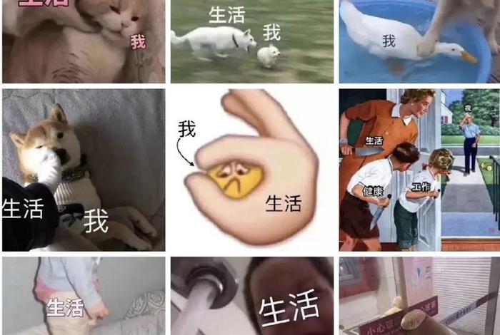 生活我表情包原图 生活我图片搞笑 生活我表情包原图 生活我图片搞笑