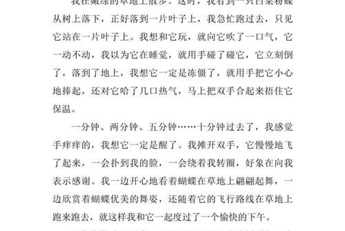 周记300字周末趣事 周记300字周末趣事写景