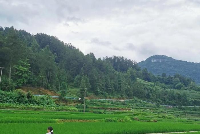 生活看一看；下载生活看看