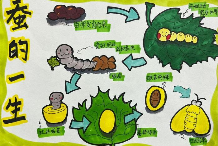 蚕的生活习性是什么 蚕的生活方式现象叫什么