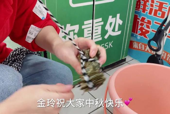 金玲生活日记能赚多少钱（金玲生活日记金玲是什么人）