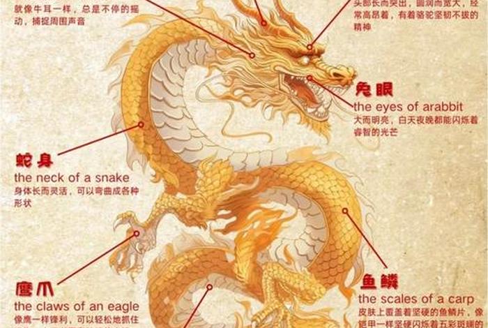 龙在哪里生活呢 - 龙在哪里生活呢英语 龙在哪里生活呢 - 龙在哪里生活呢英语