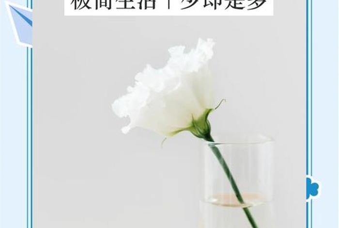 极简主义生活只需要15件东西、极简主义生活只需要15件东西,吃的用的穿的开的