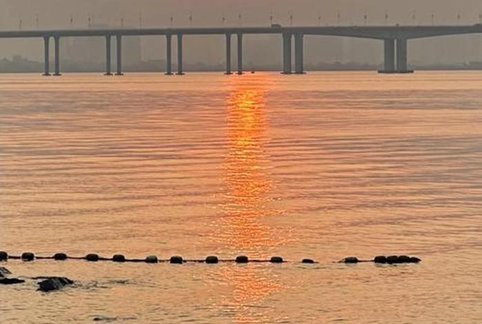 广州南沙生活感受;广州南沙的景色 广州南沙生活感受;广州南沙的景色