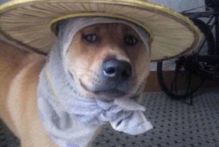 生活我表情包爆炸;我生活沙雕网友表情包 生活我表情包爆炸;我生活沙雕网友表情包