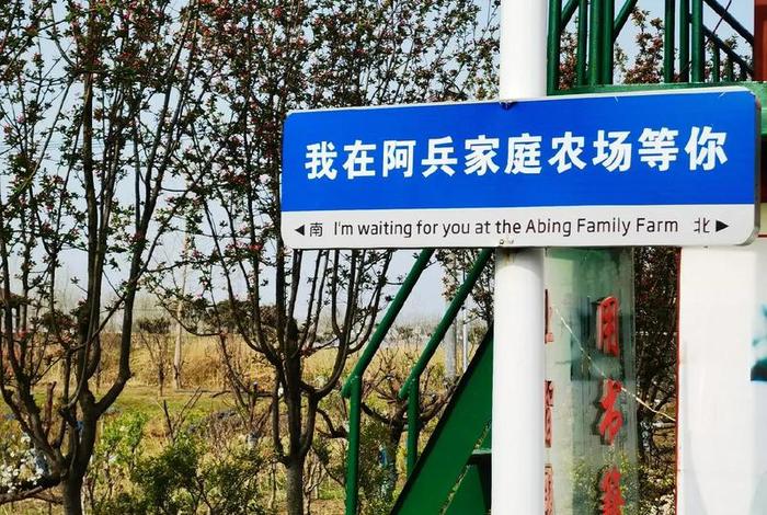 阿兵的生活祝 阿兵的快乐生活祝 阿兵的生活祝 阿兵的快乐生活祝