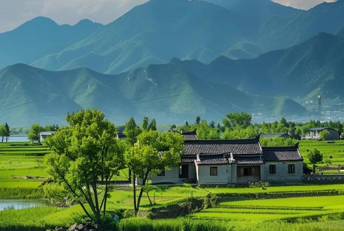 呼唤生活 - 呼唤生活在线观看 呼唤生活 - 呼唤生活在线观看