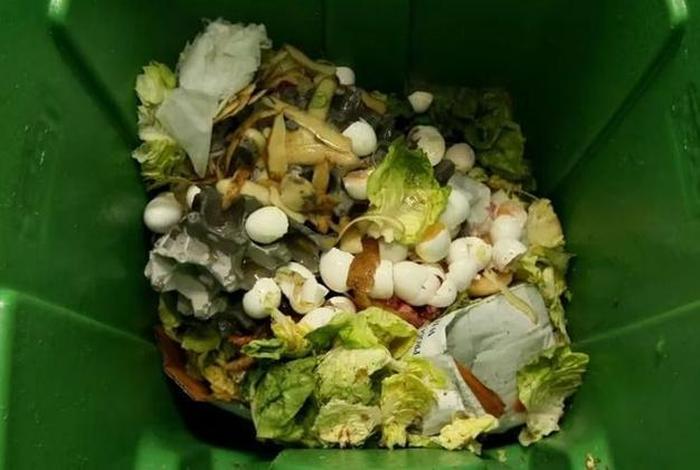 生活中的浪费现象;生活中的浪费现象有哪些 生活中的浪费现象;生活中的浪费现象有哪些