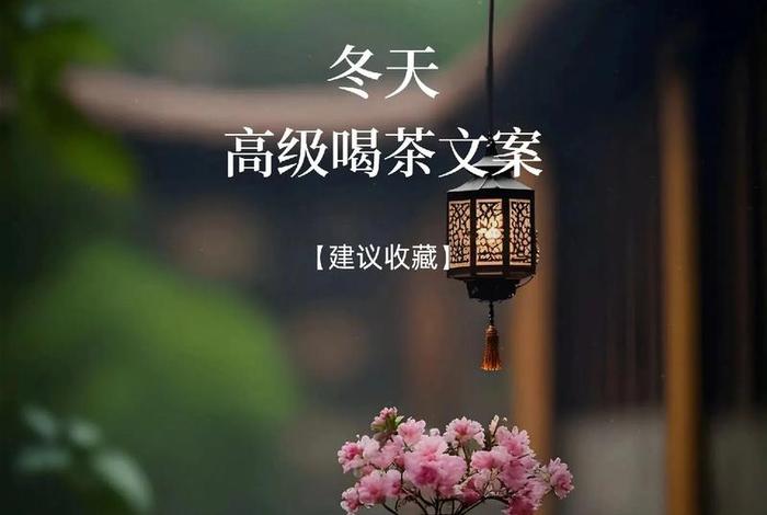 生活与茶相遇是最好的安排、茶与生活的文案