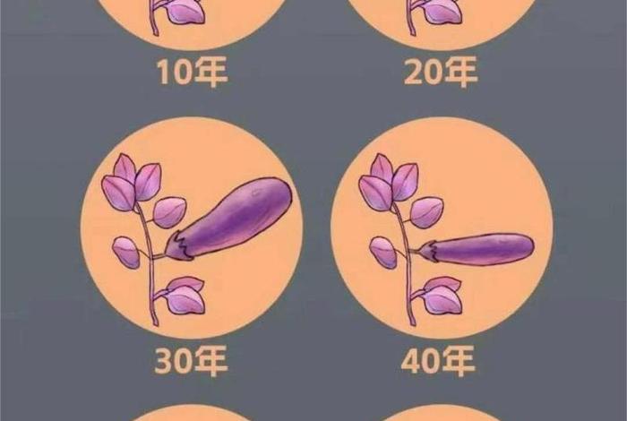 茄子生长时间 茄子的正常生长季节 茄子生长时间 茄子的正常生长季节