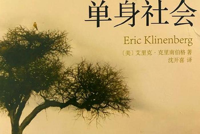 单身式生活(单身生活方式) 单身式生活(单身生活方式)