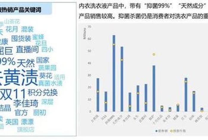 生活的衣服;生活衣服洗护行业分析 生活的衣服;生活衣服洗护行业分析