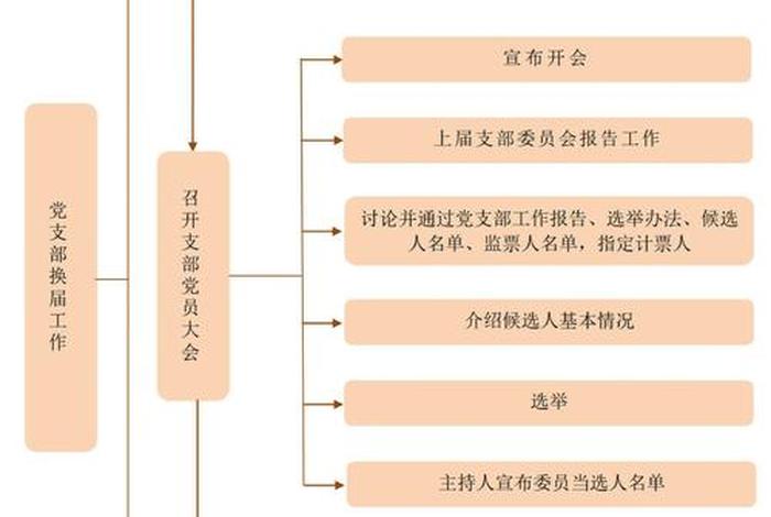 党支部民主生活会流程；组织生活的会议流程模板