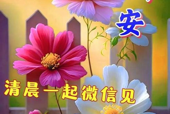 祝生活愉快的祝福语，祝生活快乐的祝福语