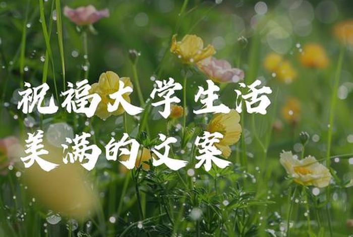 大学生活照片文案,大学生活照片文案素材 大学生活照片文案,大学生活照片文案素材