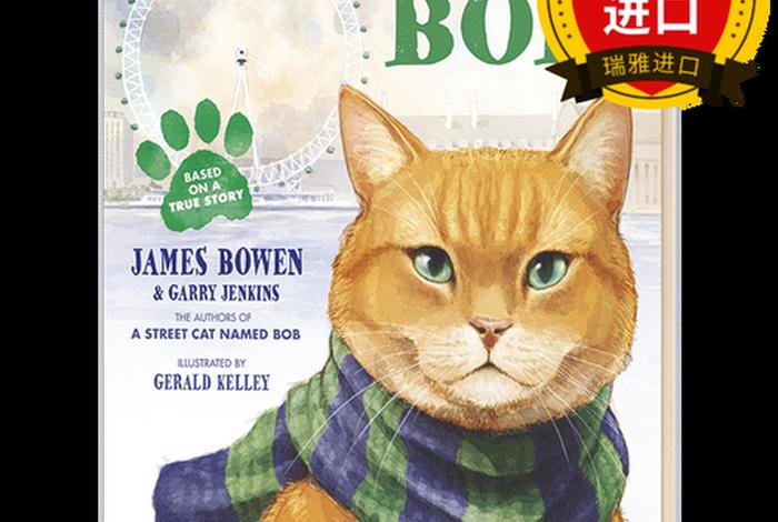 流浪猫的英文；流浪猫的英文名字