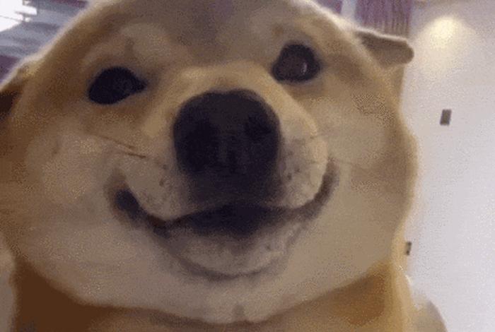 生活表情包动态图(生活我表情包原图) 生活表情包动态图(生活我表情包原图)