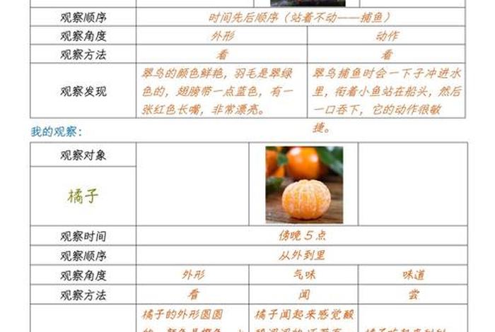 生活观察记录与分析、生活观察记录分析与措施三年级语文