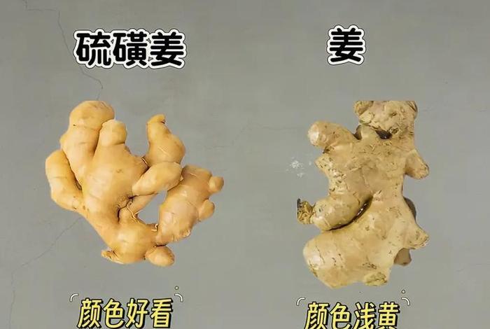 生活小妙招视频大全、生活小妙招视屏 生活小妙招视频大全、生活小妙招视屏