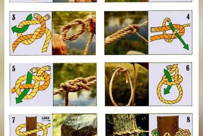 生活中的结构有哪些 - 生活中的结是什么 生活中的结构有哪些 - 生活中的结是什么