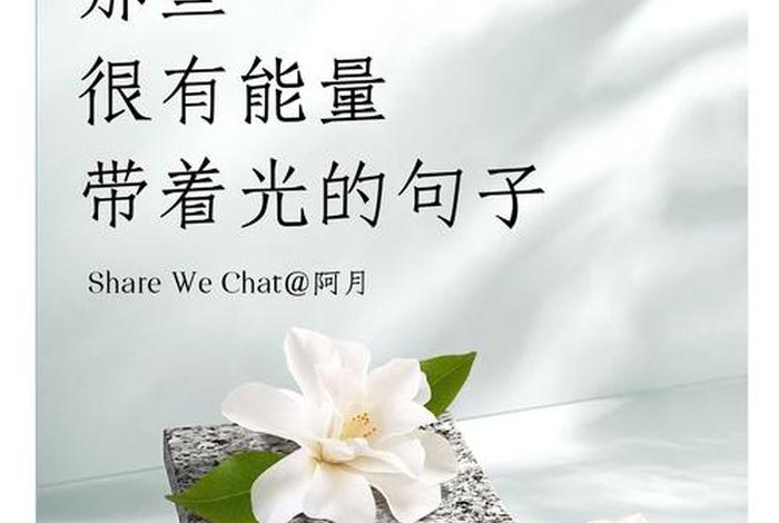 生活有光的唯美句子，生活要有光