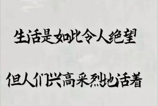 不会生活的人叫什么 形容不会生活用什么词